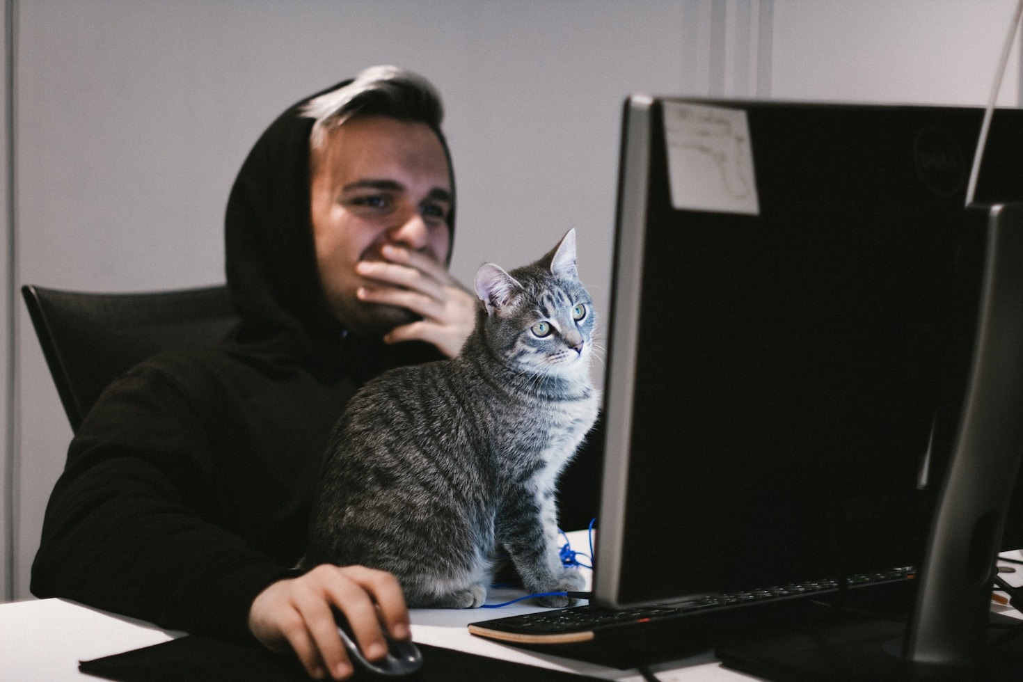 How to Build Bonds with Your Digital Pets